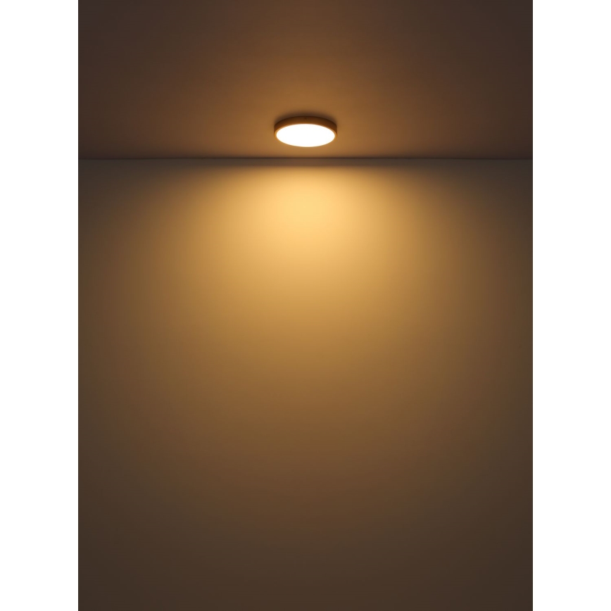Globo - LED Laevalgusti LED/22W/230V d. 35 cm