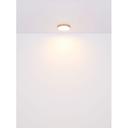 Globo - LED Laevalgusti LED/22W/230V d. 35 cm