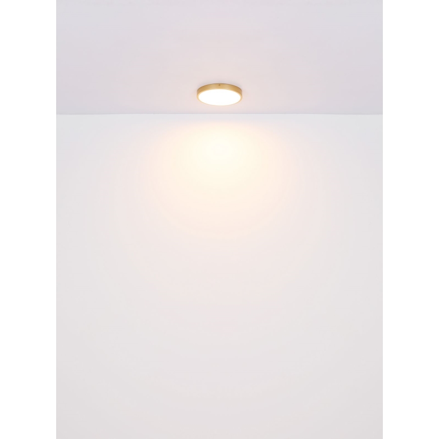 Globo - LED Laevalgusti LED/22W/230V d. 35 cm