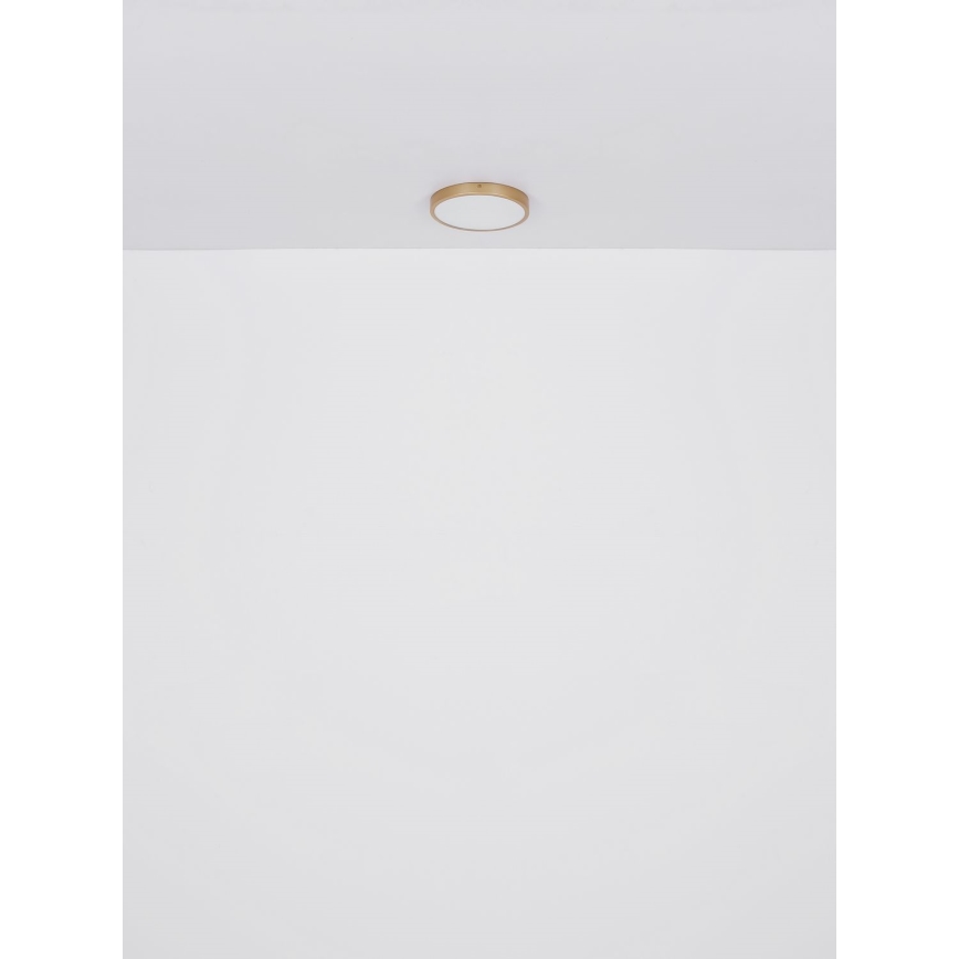 Globo - LED Laevalgusti LED/22W/230V d. 35 cm