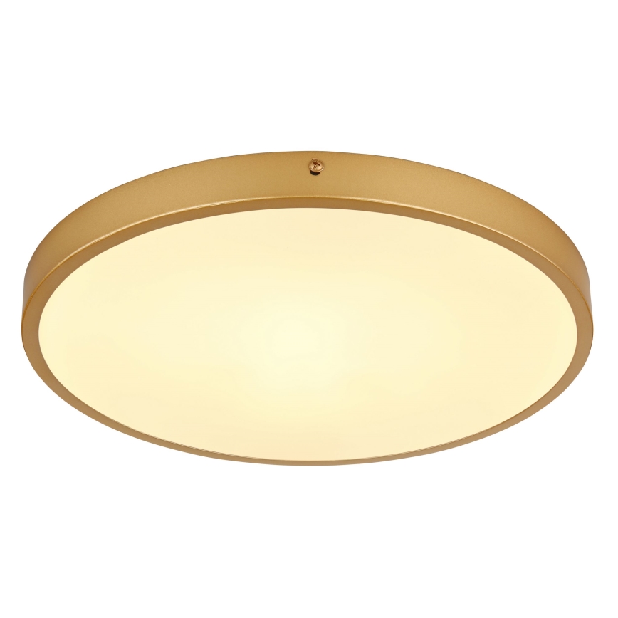 Globo - LED Laevalgusti LED/22W/230V d. 35 cm