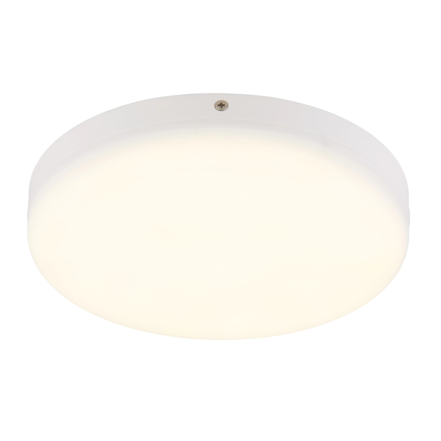 Globo - LED Laevalgusti LED/12W/230V 4000K d. 22 cm valge