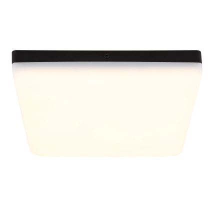 Globo - LED Laevalgusti LED/12W/230V 4000K 22x22 cm must