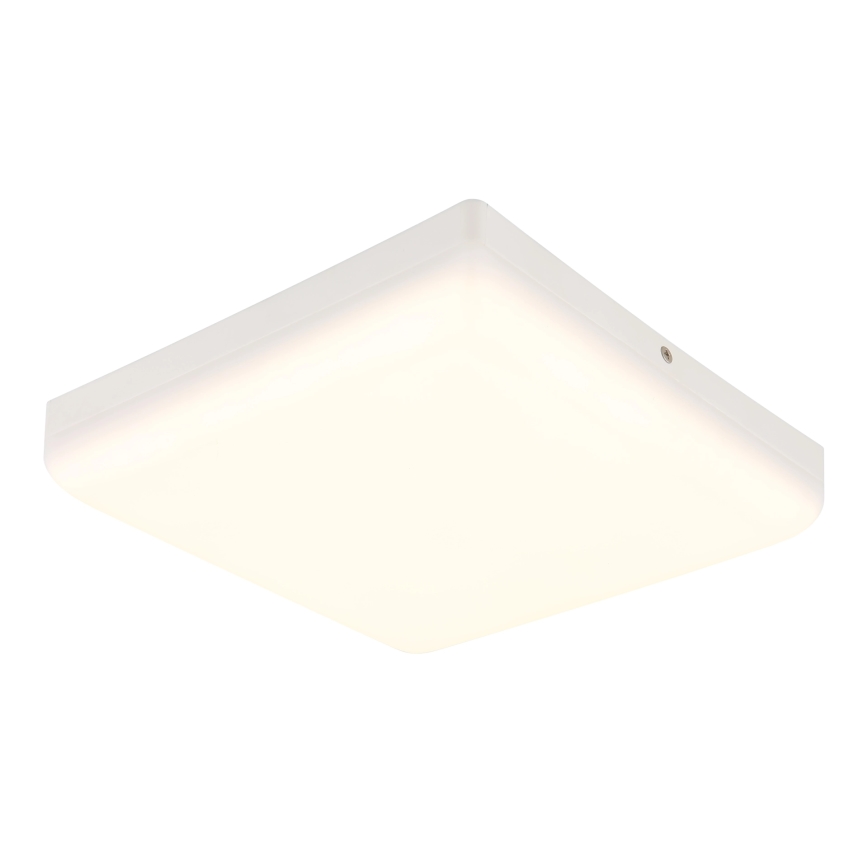 Globo - LED Laevalgusti LED/12W/230V 4000K 22x22 cm valge
