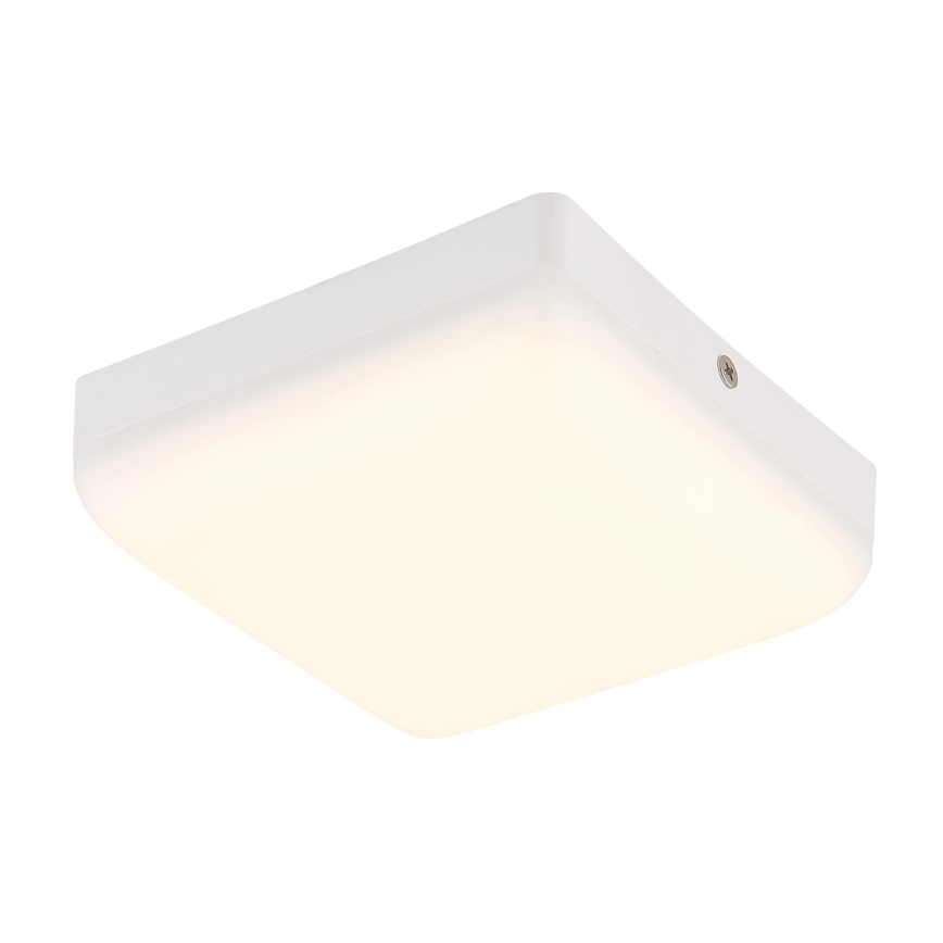 Globo - LED Laevalgusti LED/8W/230V 4000K 12x12 cm valge