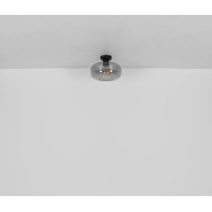 Globo - Pinnale kinnitatav lühter 1xE27/40W/230V d. 28 cm hall