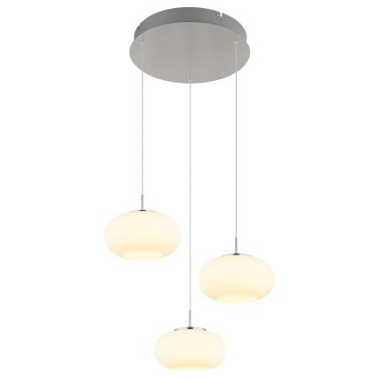 Globo - LED Lühter 3xLED/6W/230V