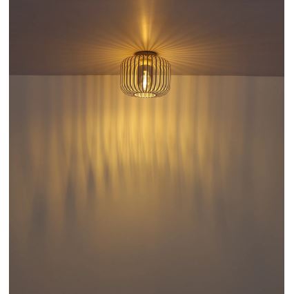 Globo - Laelamp 1xE27/40W/230V Ø 28 cm