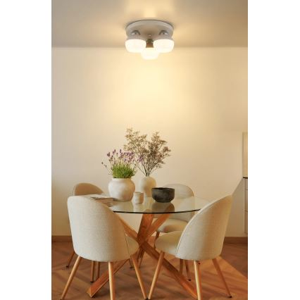 Globo - Laelamp 3xE27/60W/230V Ø 31,5 cm