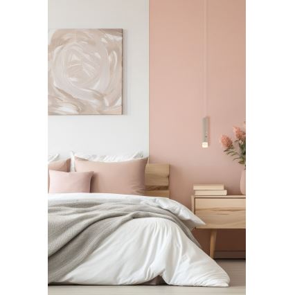 Globo - LED hämardatav puutetundlik laetav valgusti 2-ühes  LED/2W/230/5V