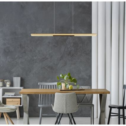 Globo - LED-lühter riputuskaabliga LED/24W/230V 3000K