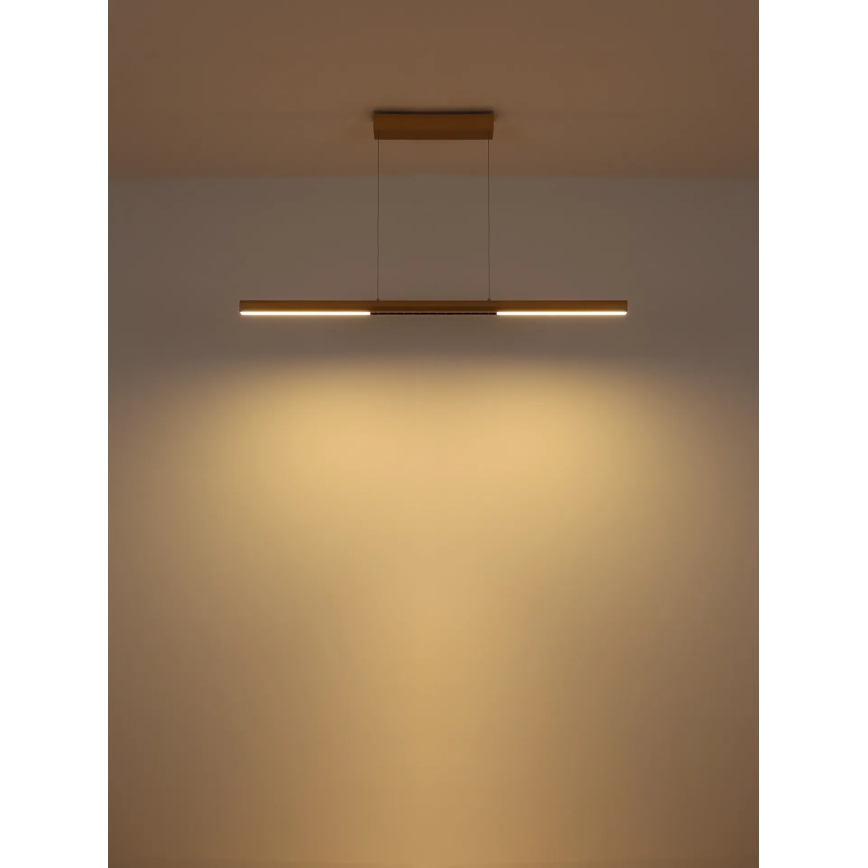 Globo - LED-lühter riputuskaabliga LED/24W/230V 3000K