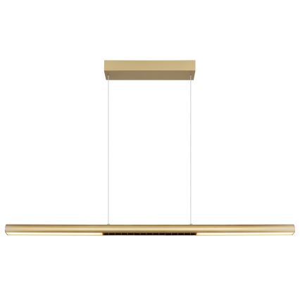 Globo - LED-lühter riputuskaabliga LED/24W/230V 3000K
