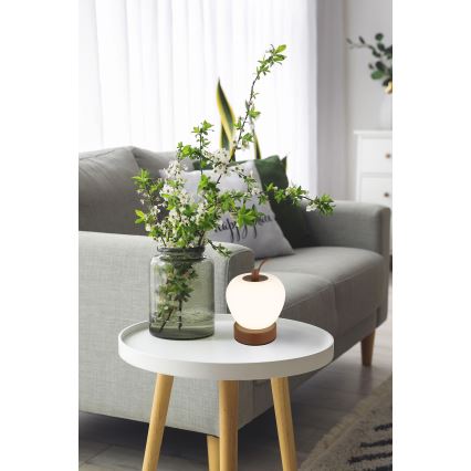 Globo - LED Hämardatav puutetundlik laualamp LED/2W/3,7V 2700K/4000K/6500K 1200 mAh USB pruun
