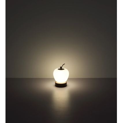 Globo - LED Hämardatav puutetundlik laualamp LED/2W/3,7V 2700K/4000K/6500K 1200 mAh USB pruun