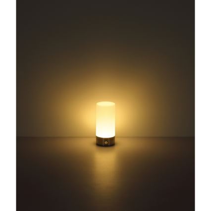 Globo - LED RGBW Hämardatav puutetundlik väli laualamp LED/1,8W/5V 1500 mAh IP44 matt kroom