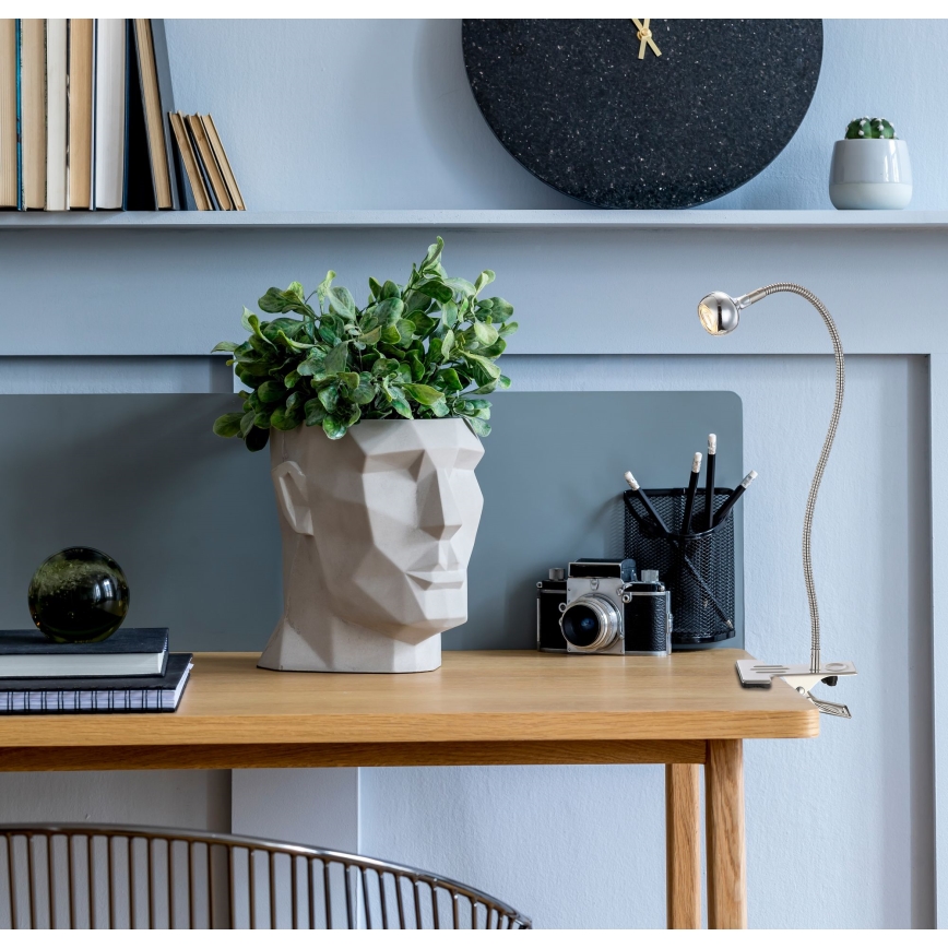 Globo - painduv klambriga LED-laualamp LED/3W/230V mattkroom