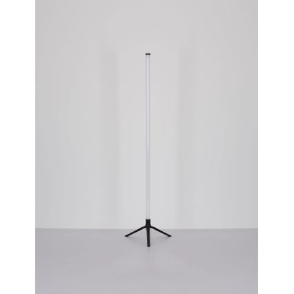 Globo - LED RGB Hämardatav põrandalamp LED/7W/5V + kaugjuhtimispult