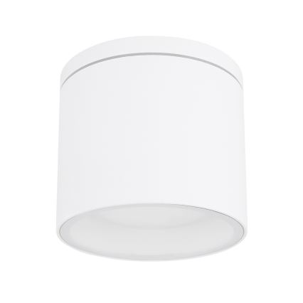 Globo - Väli laevalgusti 1xGX53/11W/230V IP44