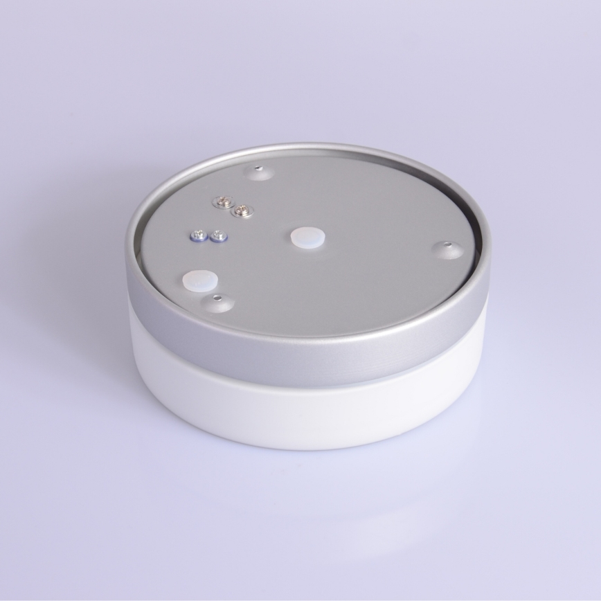 Globo - Vannitoavalgusti 1xE27/60W/230V d. 18,4 cm IP44