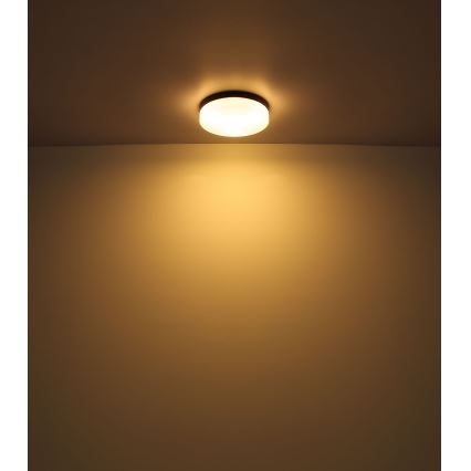 Globo - Valgusti vannituppa 3xE27/60W/230V d. 30 cm IP44