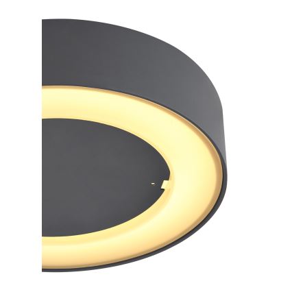 Globo - LED Väli laevalgusti LED/12W/230V IP54