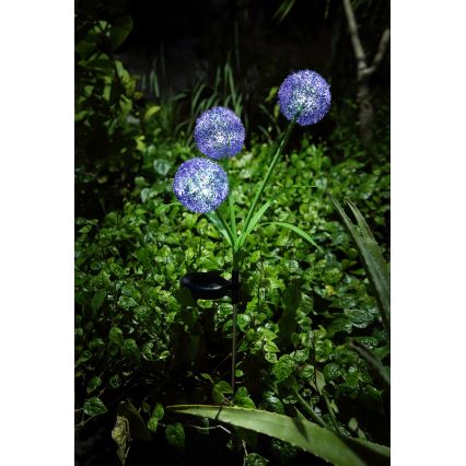 Globo - LED Päikesepaneeliga valgusti 3xLED/0,06W/3V 5000K IP44 lilla