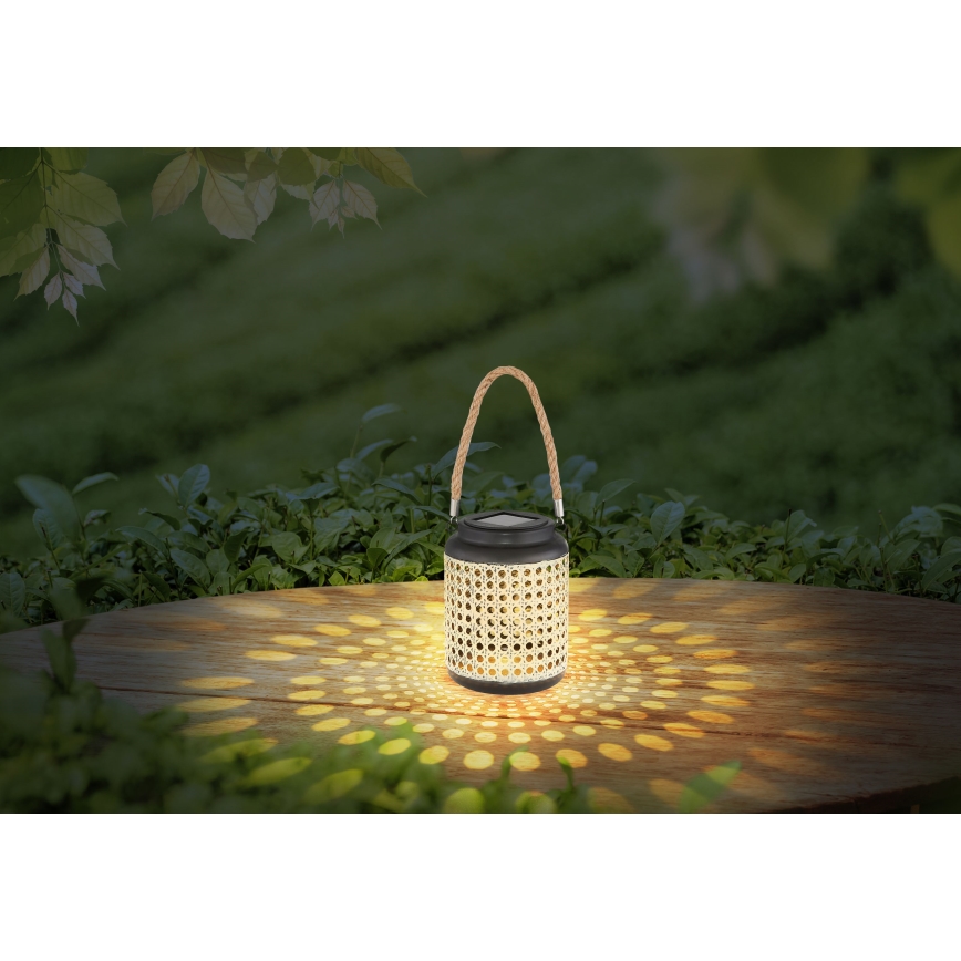 Globo - LED Päikesepaneeliga valgusti LED/0,06W/3V 3000K IP44 bambus