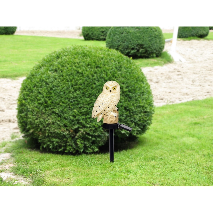 Globo - LED Päikesepaneeliga valgusti LED/0,06W/3V IP44 öökull