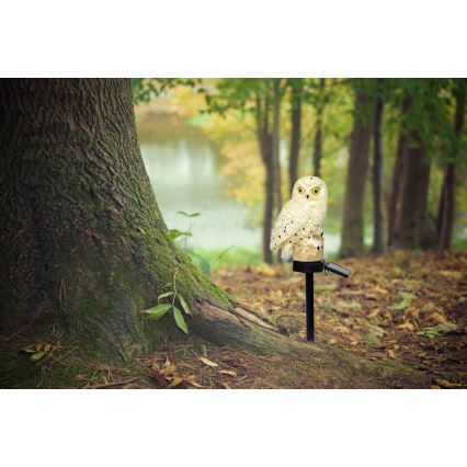 Globo - LED Päikesepaneeliga valgusti LED/0,06W/3V IP44 öökull