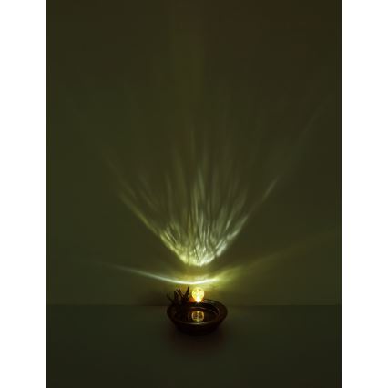Globo - LED Päikesepaneeliga valgusti LED/0,06W/3V IP44 linnuvann