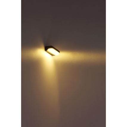 Globo - LED Väli seinavalgusti LED/10W/230V IP54