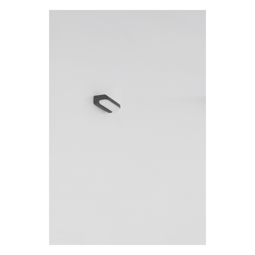 Globo - LED Väli seinavalgusti LED/10W/230V IP54