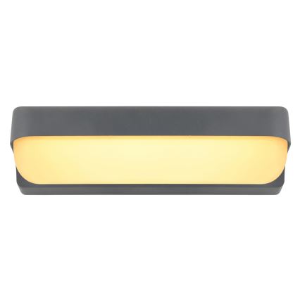 Globo - LED Väli seinavalgusti LED/10W/230V IP54