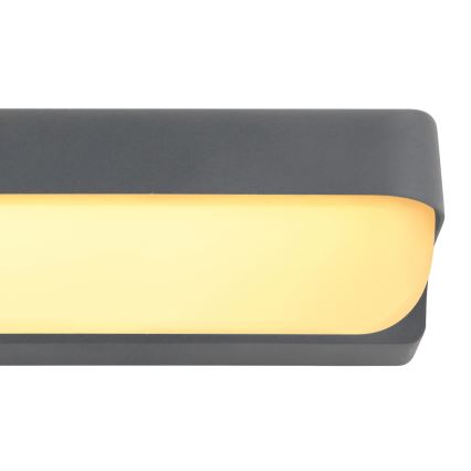 Globo - LED Väli seinavalgusti LED/10W/230V IP54