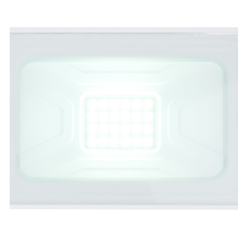 Globo - LED Prožektor LED/20W/230V IP65