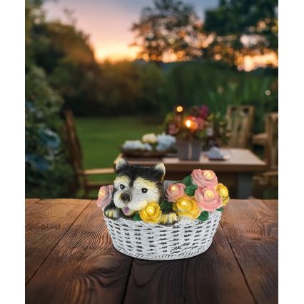 Globo - LED päikesevalgusti LED/1,2V IP44 300 mAh pes