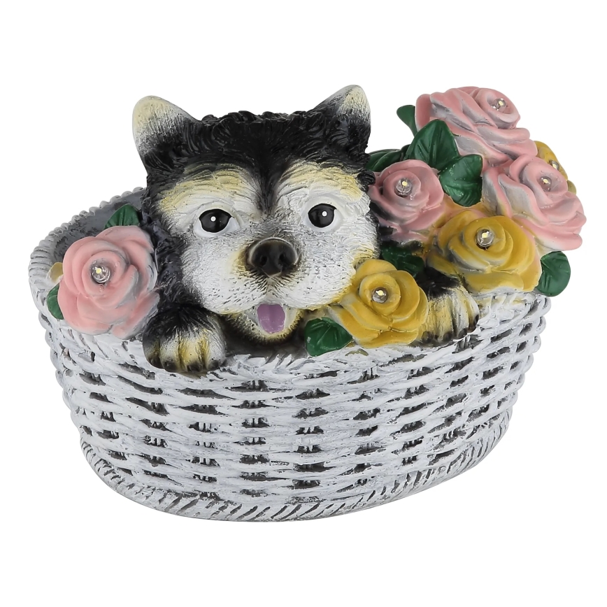 Globo - LED päikesevalgusti LED/1,2V IP44 300 mAh pes