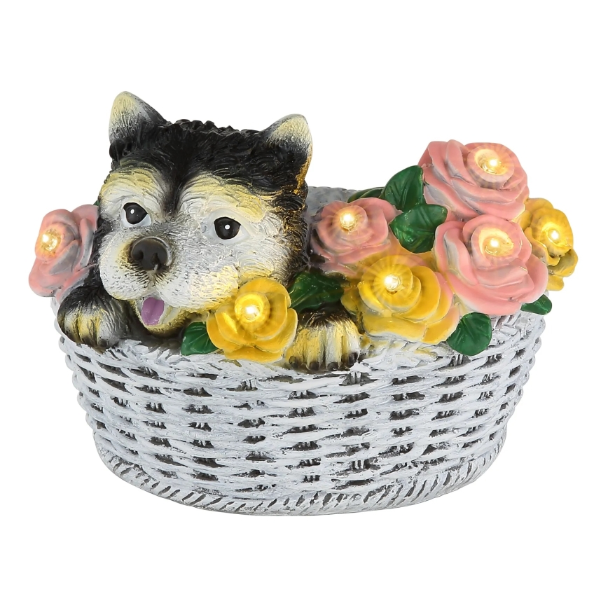 Globo - LED päikesevalgusti LED/1,2V IP44 300 mAh pes