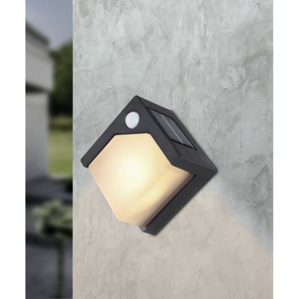 Globo - LED Päikesepaneeliga valgusti anduriga LED/0,48W/3V IP44 600 mAh
