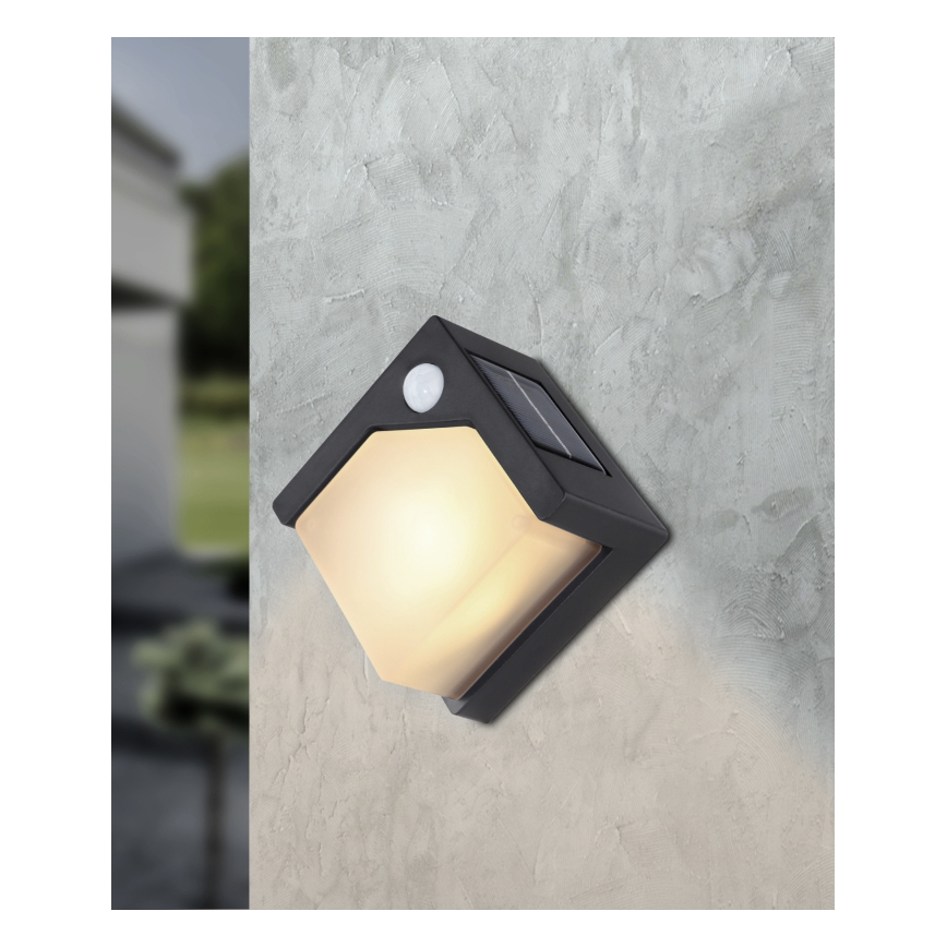 Globo - LED Päikesepaneeliga valgusti anduriga LED/0,48W/3V IP44 600 mAh
