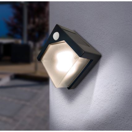 Globo - LED Päikesepaneeliga valgusti anduriga LED/0,48W/3V IP44 600 mAh