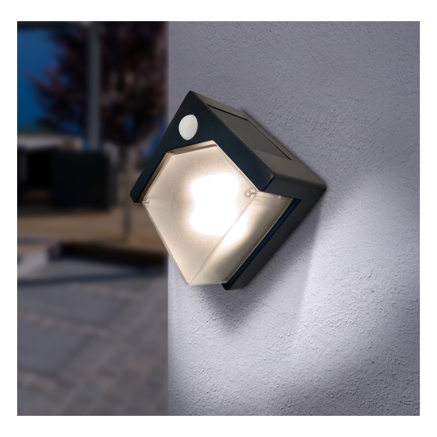 Globo - LED Päikesepaneeliga valgusti anduriga LED/0,48W/3V IP44 600 mAh