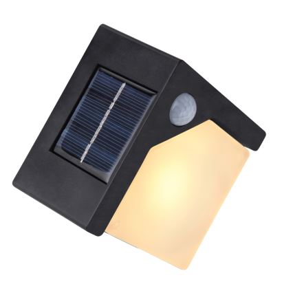 Globo - LED Päikesepaneeliga valgusti anduriga LED/0,48W/3V IP44 600 mAh