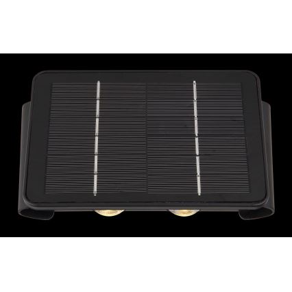 Globo - LED Päikesepaneeliga valgusti LED/1W/3,2V 3000K IP54