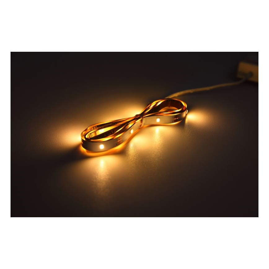 Globo - LED riba anduriga LED/1,5W/6V 4xAAA 3000K