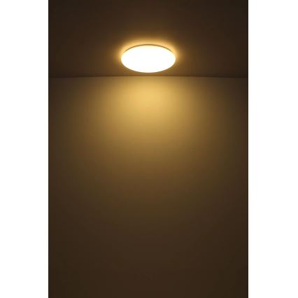 Globo - LED Laevalgusti LED/24W/230V d. 49,5 cm valge