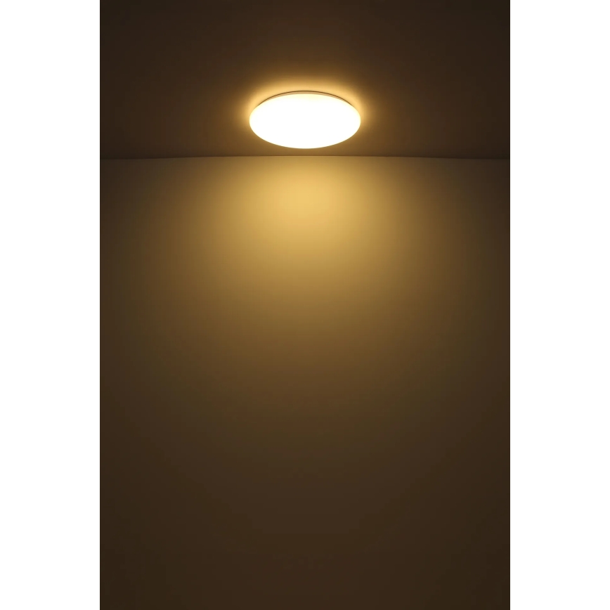 Globo - LED Laevalgusti LED/24W/230V d. 49,5 cm valge