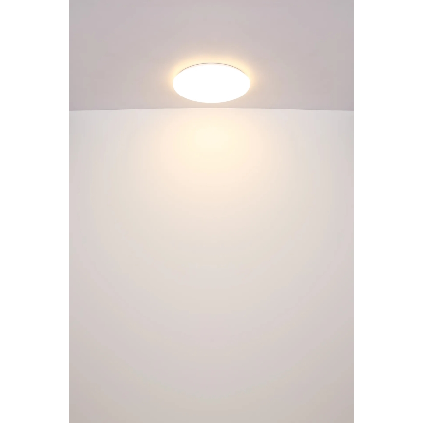 Globo - LED Laevalgusti LED/24W/230V d. 49,5 cm valge