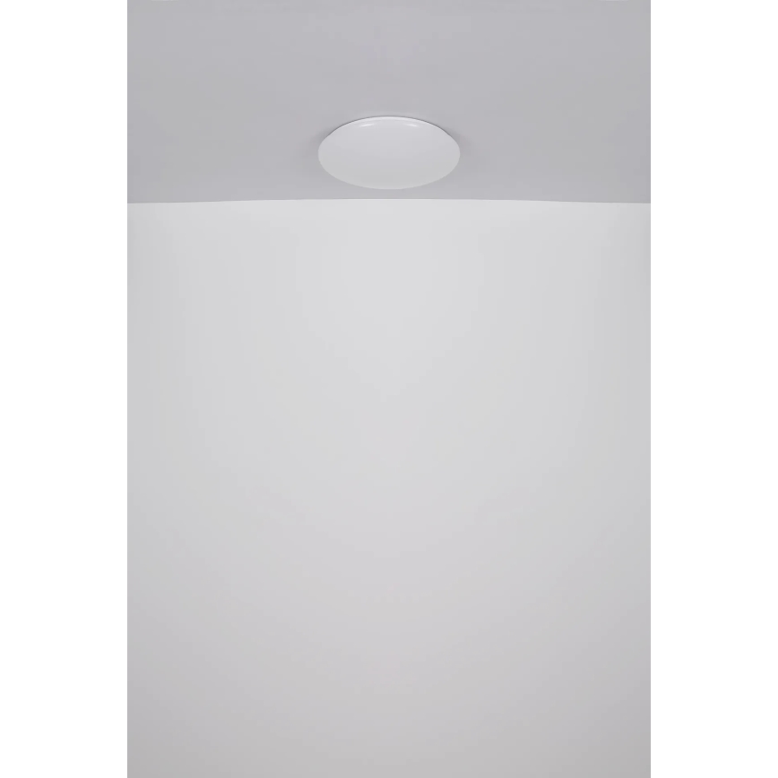 Globo - LED Laevalgusti LED/24W/230V d. 49,5 cm valge